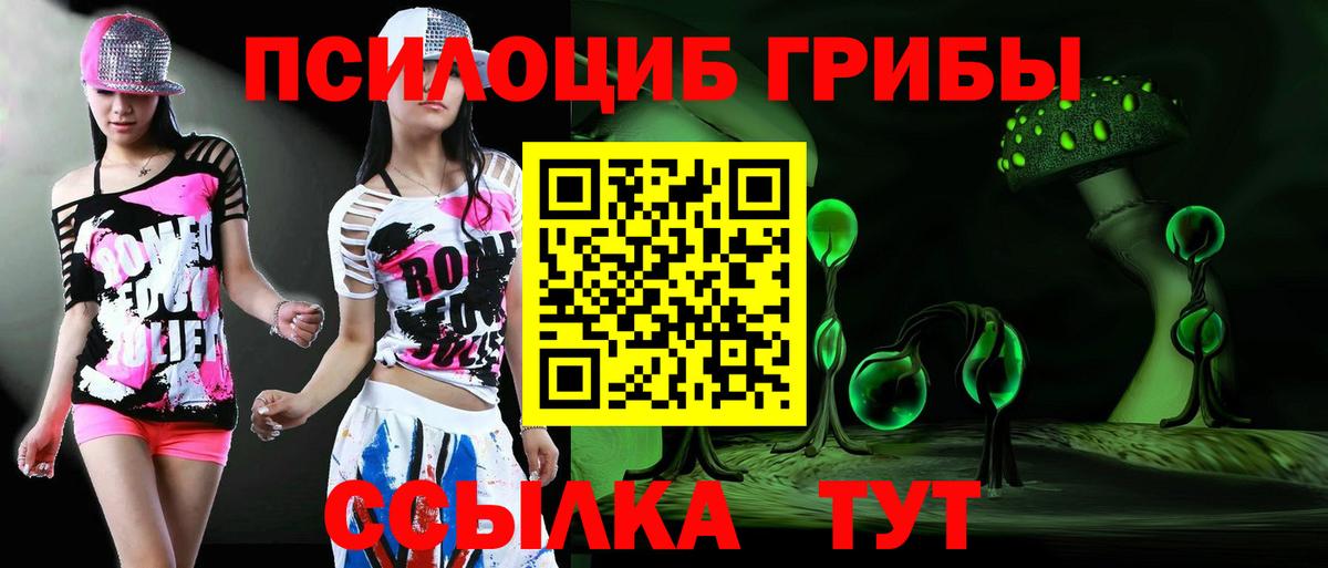 Псилоцибиновые грибы Magic Shrooms  закладки  Вход с VPN  Пушкино  Псилоцибиновые грибы Cubensis 