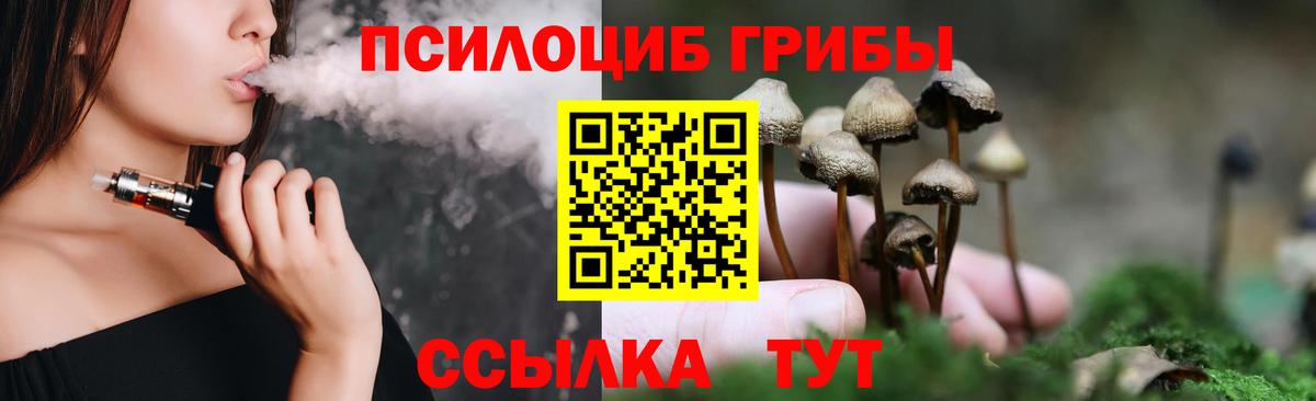 Галлюциногенные грибы Cubensis Пушкино